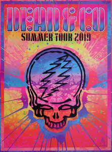DEAD & CO TOUR PRINT 2019